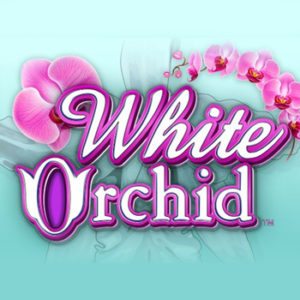 White Orchid Slot