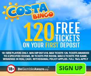 Bingo Bingo